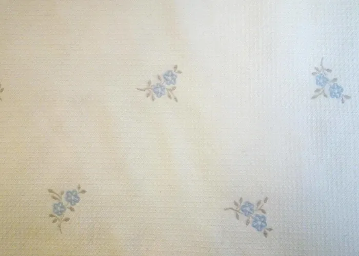 Casa Rural Del Pelaire Pensión Gea de Albarracín